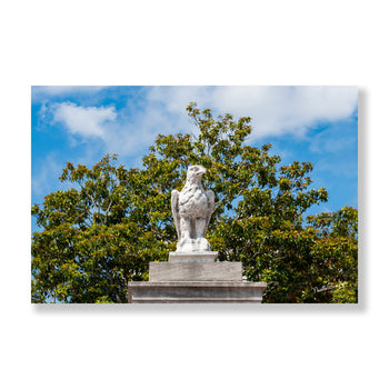 War Eagle Full Color Photography – Auburn University, Auburn Alabama Art Décor