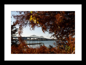Tennessee River Bridge – Majestic Views in Decatur, Alabama