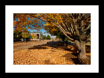 Old State Bank – Autumn Charm in Decatur, Alabama