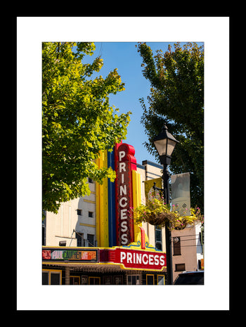 The Princess Theater Wall Decor | Historic Charm of Decatur, Alabama
