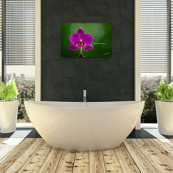 Find Your Balance Wall Decor | Harmony and Peace | Huntsville, AL