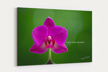 Find Your Balance Wall Decor | Harmony and Peace | Huntsville, AL