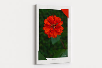 Radiance Wall Decor | Inspiration and Creativity |Huntsville, AL