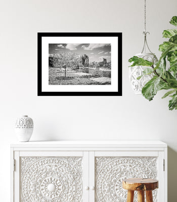 Cherry Blossoms in Big Spring Park – Black & White Huntsville Photography