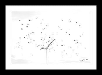 Birds in Flight – South Memorial Parkway, Huntsville, Alabama