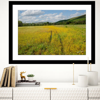 Tennessee Valley Gold: Spring Field and Mountain Landscape | Nature Photography