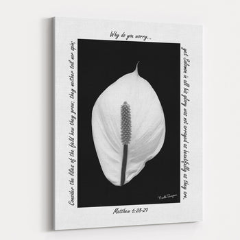 Why Worry? Wall Decor | Grace & Purity | Nashville, TN