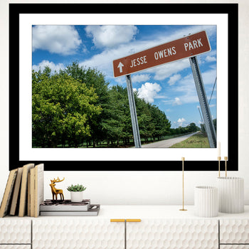 A framed artwork depicting a signpost for Jesse Owens Park with a green background and blue sky, displayed on a wall above a bookshelf.
