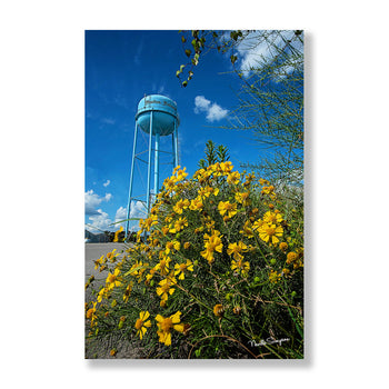 Moulton Alabama Water Tower Wall Art – Yellow Daisy Photography